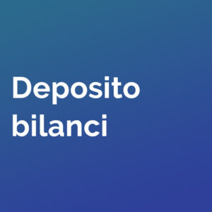 Deposito bilanci